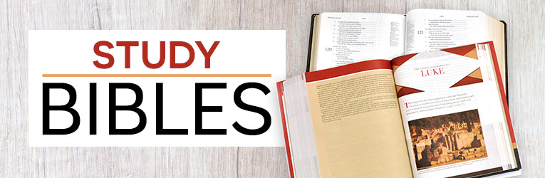 Discounted Study Bibles